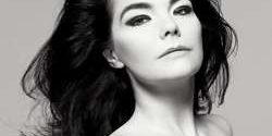 img-bjork-fig-1_110739349400