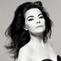 img-bjork-fig-1_110739349400