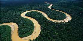 amazonas