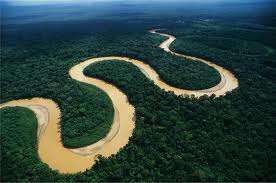 amazonas