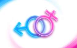 dreamstime_xl_17899897